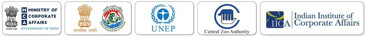 Government & UN agencies